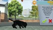 Best Mobile Kids Games PS Vita Pets Puppy Parlour Playstation Mobile Inc