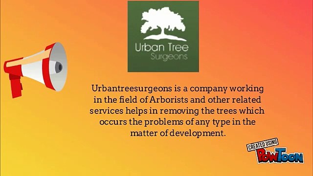 Give, You Tree Removal in North Shore in Very Low Cost