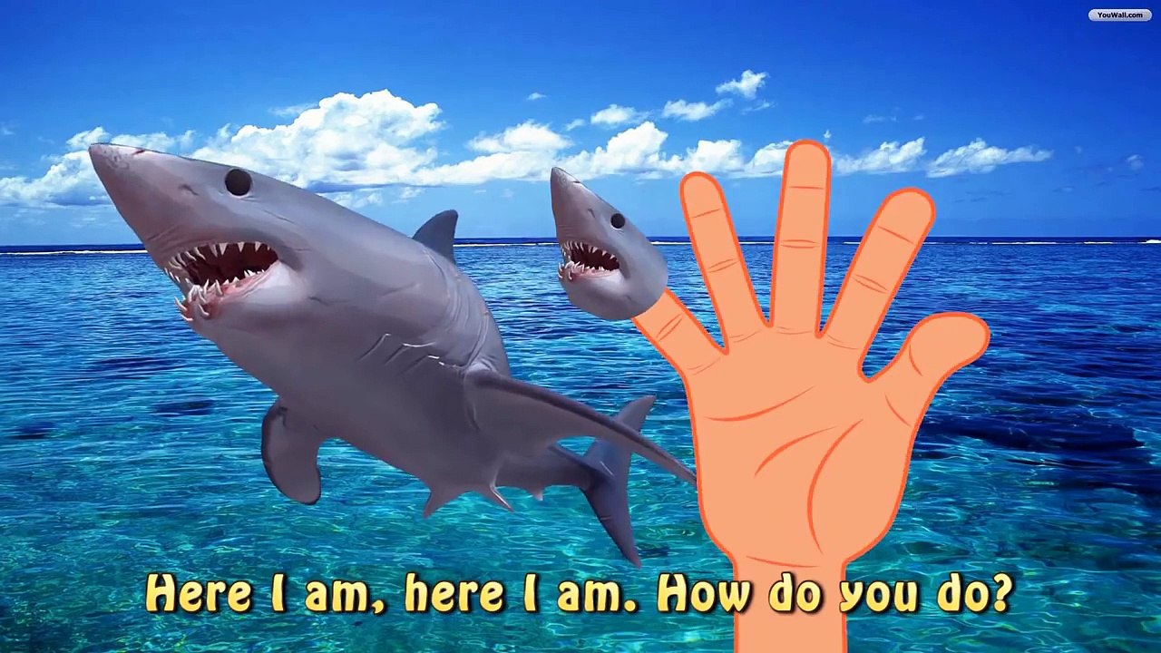 Finger Family Shark VS Shark Jaws Battle Mega f...