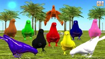 Stegosaurus Dinosaur Colors for Kids | Learning Colors with Dinosaurs | Learning Videos fo