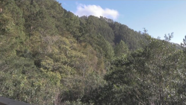 Cooperación Española, aliado vital del Parque Nacional Celaque en Honduras