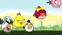 Angry Birds Finger Family Song | Daddy Finger Daddy Finger | Nursery Rhymes For Children