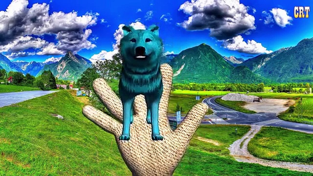 Animals Finger Family || Cat Dog Wolf Cow || English Nursery Rhymes For Kids