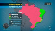 Morte de macaco por febre amarela preocupa o Pará