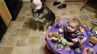 Cute Babies Laughing dog