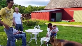 Cute Babies Laughing at Dogs Compilation hot dog