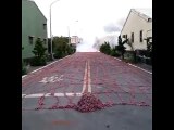 Here's what millions of firecrackers going off on the road looks like.