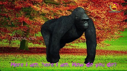 King Kong Finger Family Nursery english 3d rhymes | Children Animated finger family song