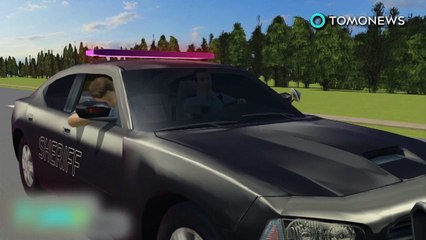 Lhama solta! Animal de estimação fugido visto correndo pela cidade.