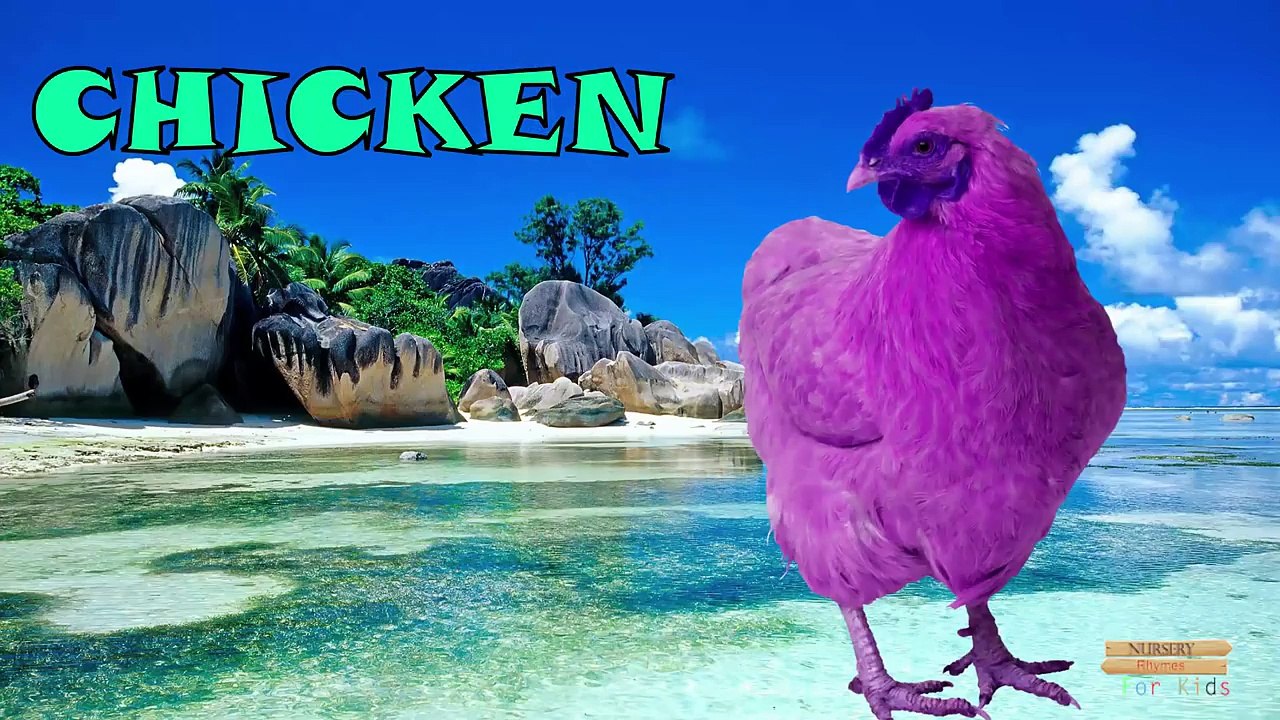 Aprender de los Animales Domésticos Nombres y Sonidos para los Niños de la Vaca, Perro, Gato, Gallina, Cerdo, etc.