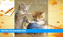 PDF [Free] Download  What Cats Teach Us 2017 Engagement Calendar Trial Ebook