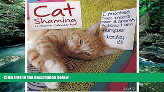 Best PDF  Cat Shaming 2017 Wall Calendar Book Online