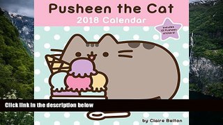 Best PDF  Pusheen the Cat 2018 Wall Calendar Trial Ebook
