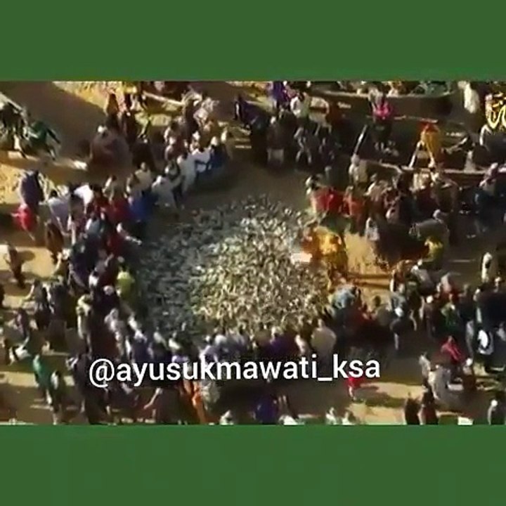 Ma sha Allah