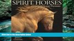 PDF [Download] Spirit Horses 2017 Wall Calendar [Download] Online