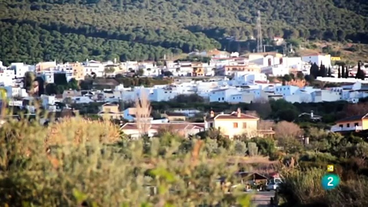 DOCUMENTAL - SUICIDIOS - DOCUMENTALES INTERESANTES,DOCUMENTAL ONLINE,DOCUMENTAL 2016,DOCUMENTALES