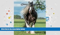 PDF [Free] Download  Gypsy Vanner Horse 2015 Engagement Calendar For Ipad