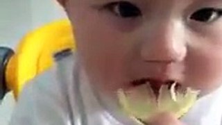 I don't think this baby enjoys the tasted of a citron