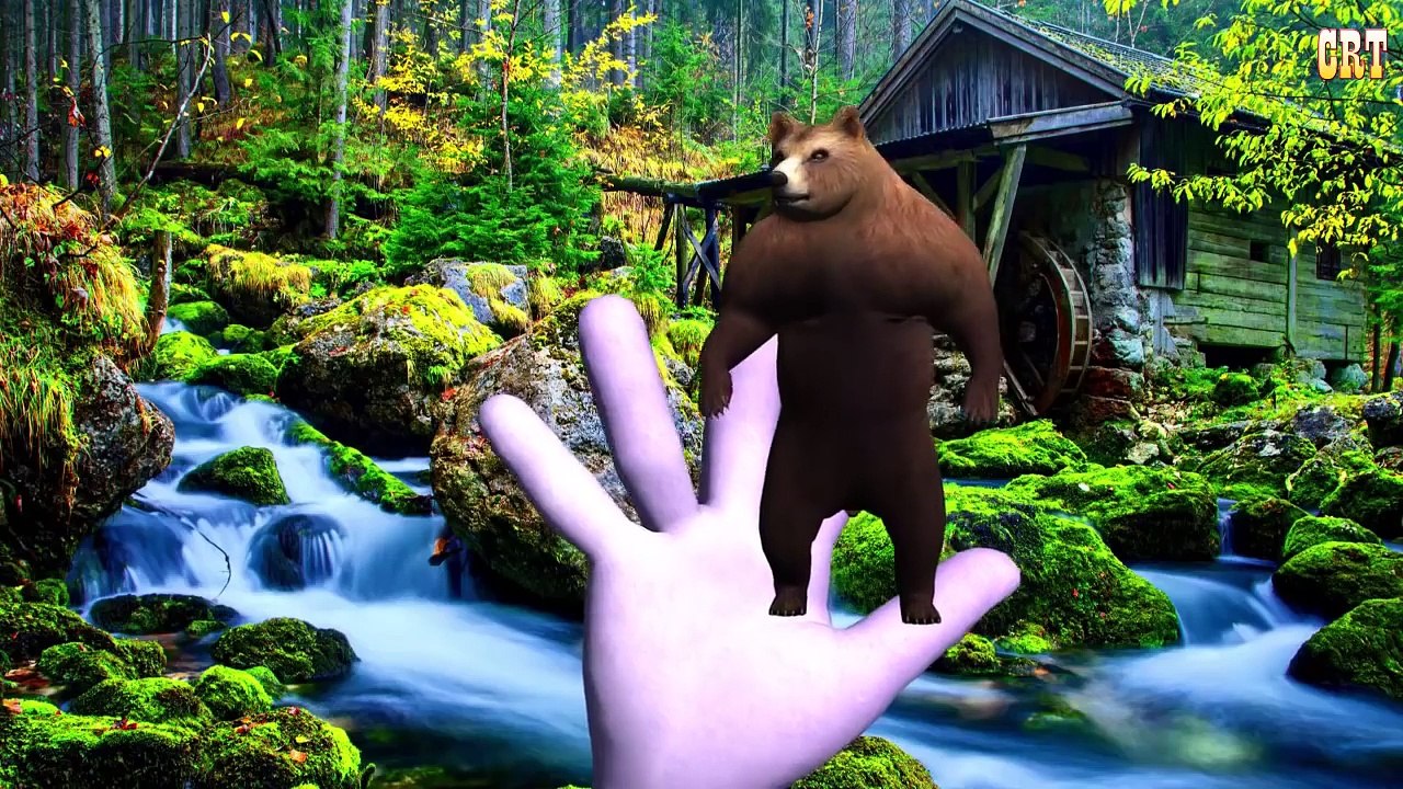 Animals Nursery Rhymes || Children Rhymes Lyrics For Music Rhymes Collection