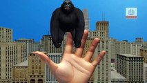 King Kong Finger Family Nursery English 3D Rhymes | Children Animated finger family songs HD