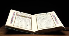 Evinin Bahçesinde Kur'an-ı Kerim'i Yakan Danimarkalı Yargılanacak