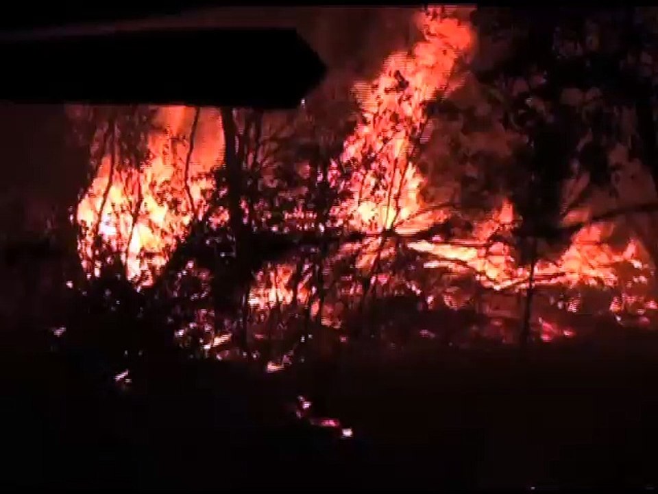 দাবানলে পুড়ছে চিলির হাজার হাজার হেক্টর জমি