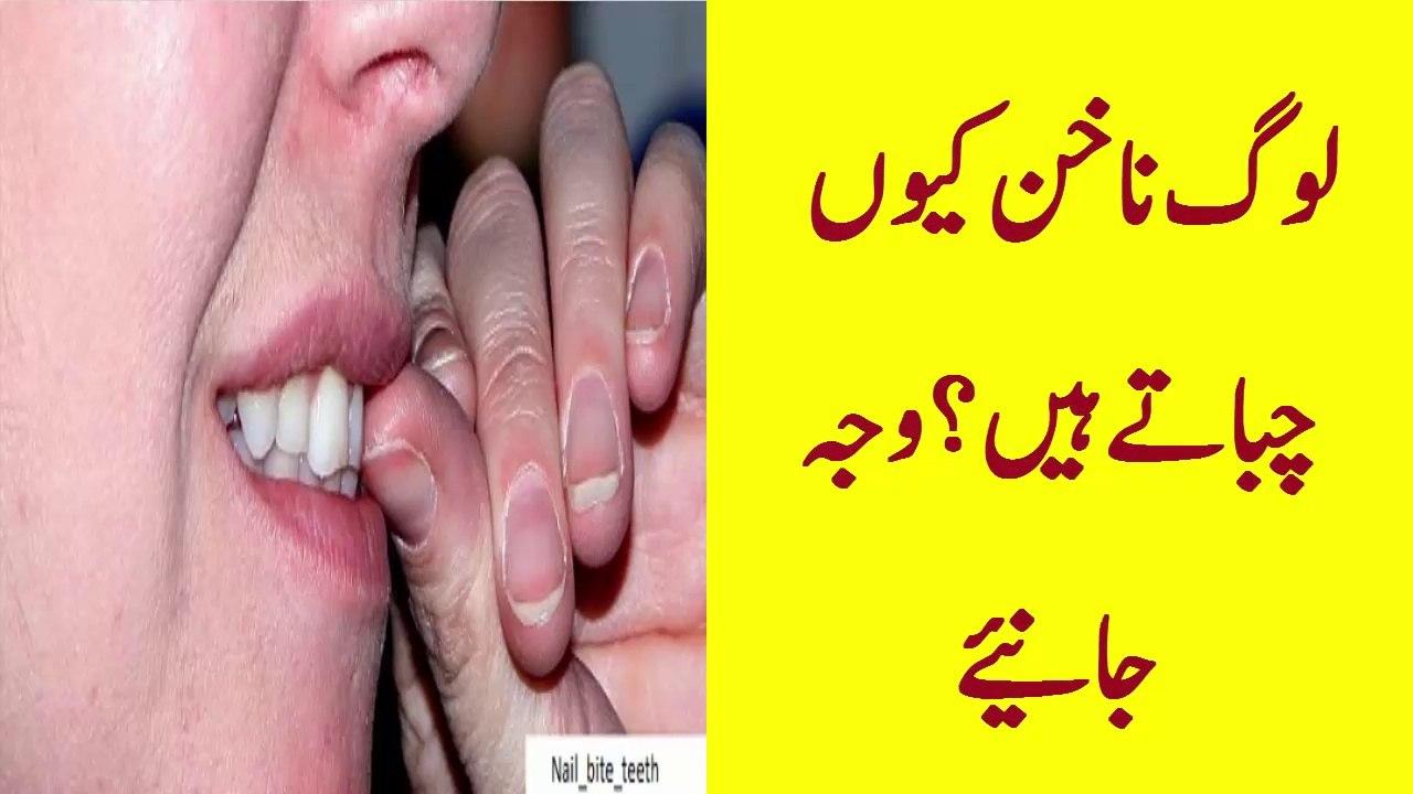 Log apne nakhun nails kiyun kat te hain|interesting news updates|kids videos for education