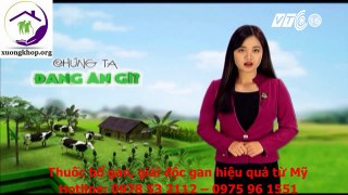 Chế độ ăn với người bị gan nhiễm mỡ