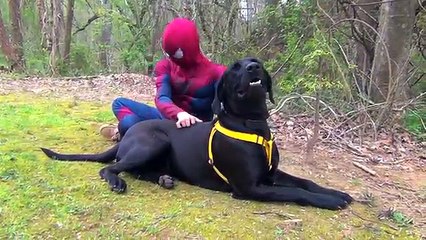 Spiderman vs Frozen Elsa Zombie - Elsa is a Zombie - Fun Superhero Movie in Real Life