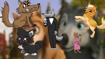 Animals Cartoons Finger Family | Animals Finger Family Rhymes for Children