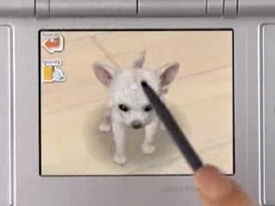 Nintendogs poutit