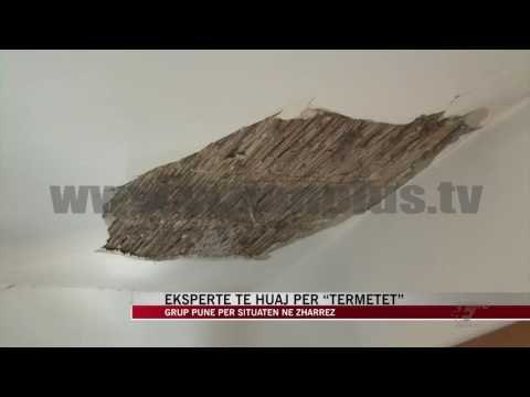 Ekspertë të huaj për “tërmetet” - News, Lajme - Vizion Plus