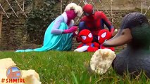 Frozen Elsa Spidergirl & Spiderbaby Twins Spiderman & Frozen Elsa Fun Superhero in Real Life :)