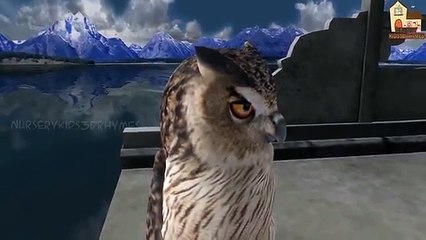 Animals Finger Family | Finger Family song | Kids Songs | Animal Nursery Rhymes for Childr