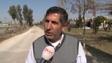 Adana'da Sokak Köpekleri Zehirlendi