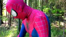 SPIDERMAN Steals Cookies from COOKIE MONSTER | DCTC Superheroes IRL Videos
