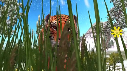 Animals Fighting Video Compilation | Black Panther Attack Tiger | Python Vs Crocodile Chee