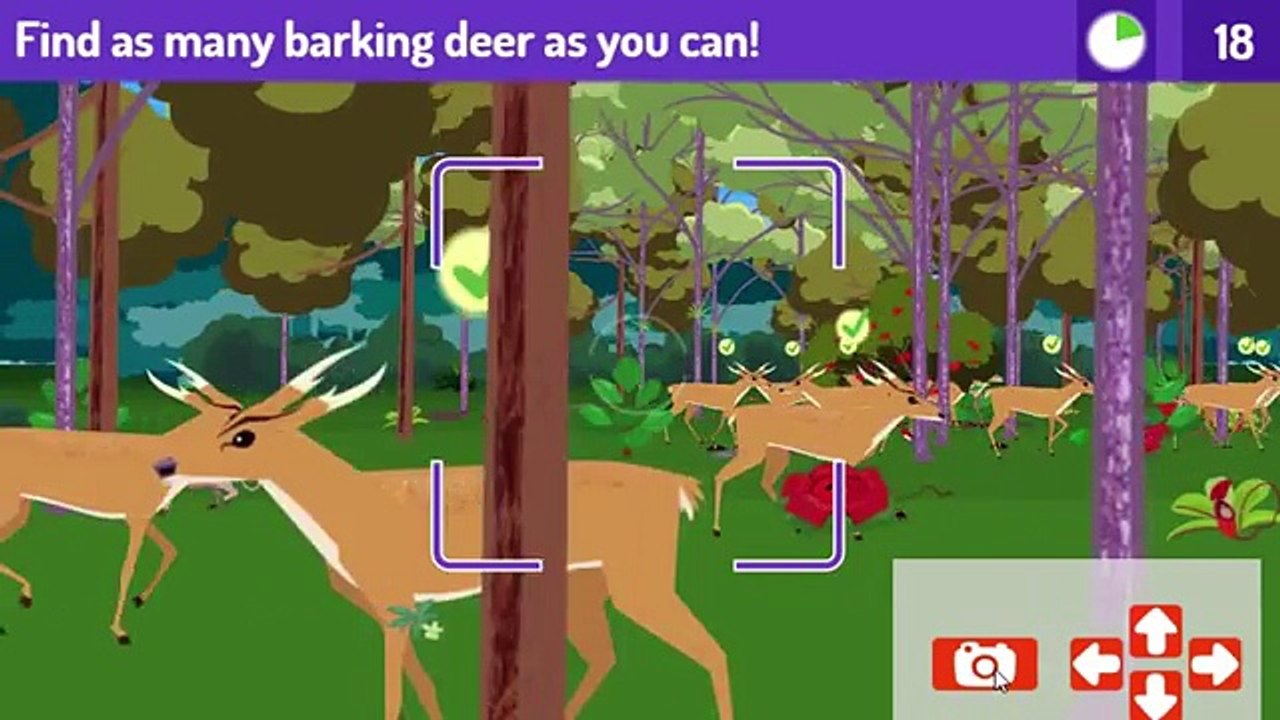 Plum Landing - Jungle Rangers (kidz games)