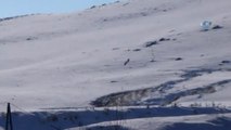 Kars) Kars'a Eksi 20 Derece Soğukta Leylek Geldi