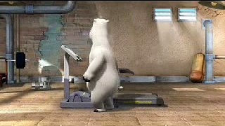 Running machine could be dangerous. (Funny bear)
