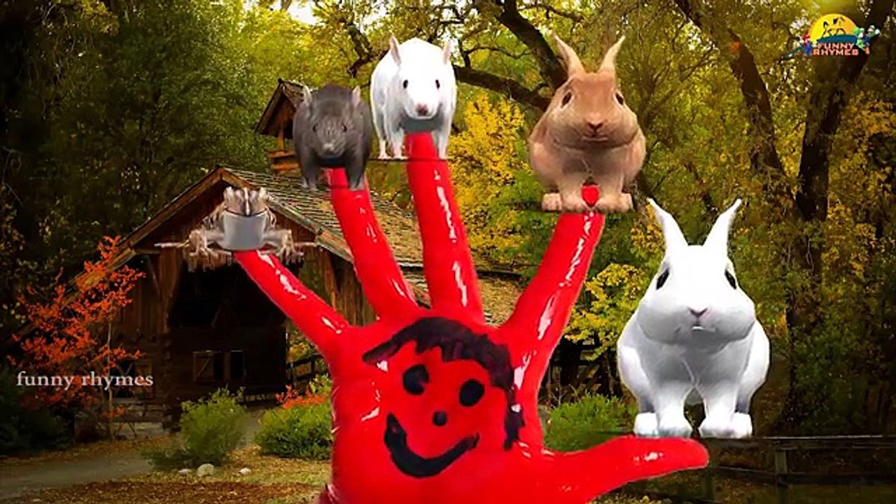 Rabbit Finger Family Nursery Children English rhymes | The Finger Family Song