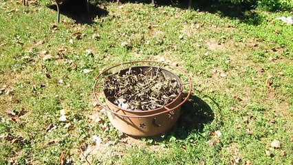 Survival: How to start a fire with a Giant Fresnel lens (science experiment)