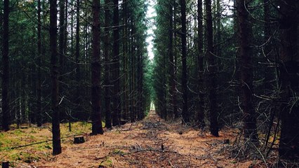 Abraham Hicks 2017 —  He has new dancing girlfriend