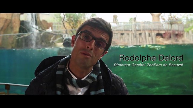 Le ZooParc de Beauval, Au bonheur des animaux