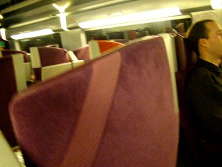 PARİS HIZLI TRENE BİLETSİZ BİNMEK:) -VLOG