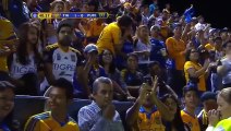 Tigres 1-1 Pumas - All Goals & Highlights