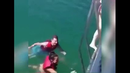 Naughty Dolphin. HAHAHA (y)