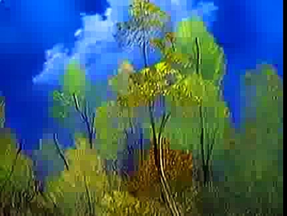 Bob Ross Twilight Meadow (Season 5 Episode 2)