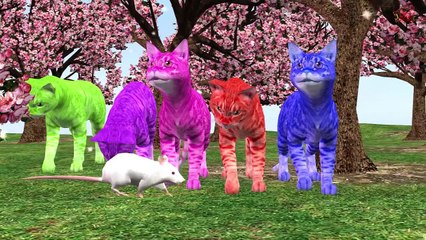 Animal Sound Video for Kids | Farm Animal Nursery Rhymes & Songs for Babies