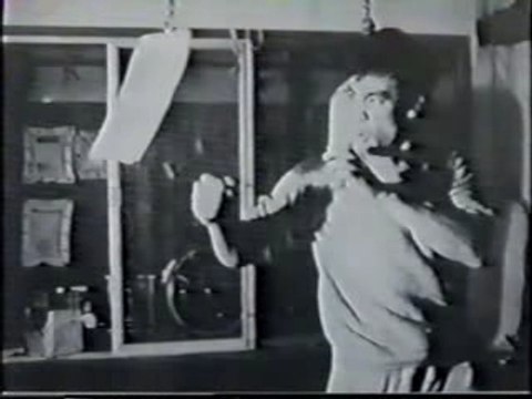 Bruce Lee Jeet Kune Do legend (8/8)